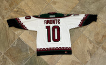 Load image into Gallery viewer, Vintage Phoenix Coyotes Tony Amonte CCM Hockey Jersey, Size Large
