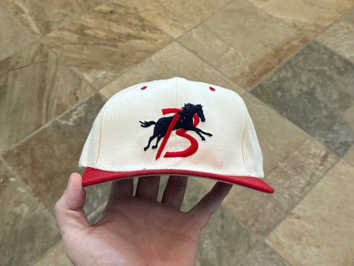 Vintage Billings Stallions New Era MiLB Snapback Baseball Hat