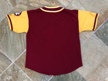 Load image into Gallery viewer, Vintage Florida State Seminoles Stater College Jersey, Size Large