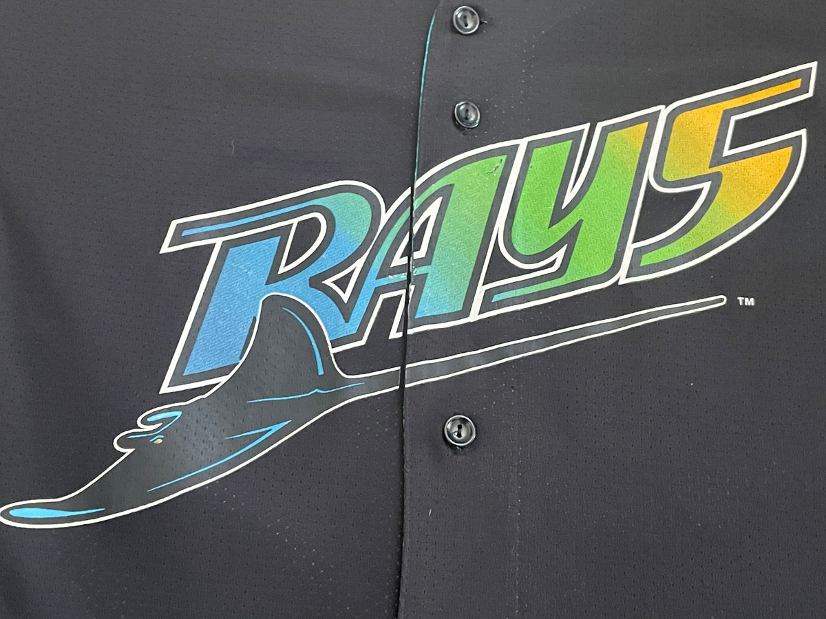 Lot Detail - Fred McGriff Tampa Bay Devil Rays Game Used Jersey GU 9