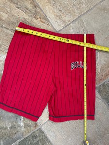 Vintage Chicago Bulls Pinstripe Starter Basketball Shorts, Size Medium