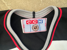 Load image into Gallery viewer, Vintage Buffalo Sabres CCM Hockey Jersey, Size Large