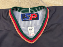 Load image into Gallery viewer, Vintage Utah Grizzlies AHL SP Hockey Jersey, Size Large