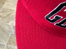 Load image into Gallery viewer, Vintage Georgia Bulldogs Starter Arch Snapback College Hat