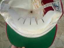 Load image into Gallery viewer, Vintage Florida State Seminoles Logo Athletic Splash Snapback College Hat