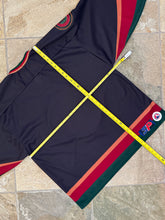 Load image into Gallery viewer, Vintage Utah Grizzlies AHL SP Hockey Jersey, Size Large