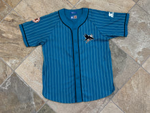 Load image into Gallery viewer, Vintage San Jose Sharks Starter Pinstripe Hockey Jersey, Size XL