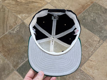 Load image into Gallery viewer, Vintage Lynchburg Hillcats MiLB New Era Snapback Baseball Hat