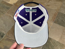 Load image into Gallery viewer, Vintage Minnesota Moose Zephyr Grafx Youth Snapback Hockey Hat
