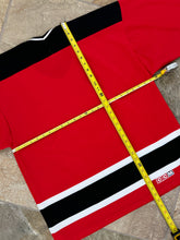 Load image into Gallery viewer, Vintage Albany River Rats AHL CCM Hockey Jersey, Size Large