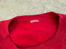 Load image into Gallery viewer, Vintage Albany River Rats Hockey Sweatshirt, Size XL