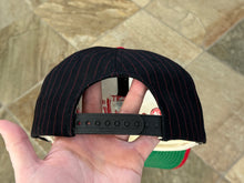 Load image into Gallery viewer, Vintage Detroit Red Wings Sports Specialties Script Pinstripe Snapback Hockey Hat