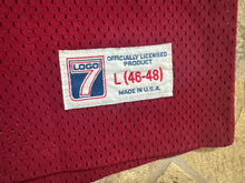Load image into Gallery viewer, Vintage Florida State Seminoles Charlie Ward Logo 7 College Football Jersey, Size Large, 46-48