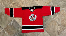 Load image into Gallery viewer, Vintage Albany River Rats AHL CCM Hockey Jersey, Size Large