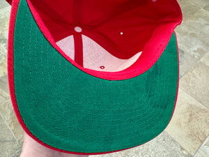 Vintage Ohio State Buckeyes Starter Snapback College Hat