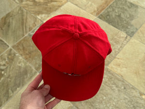 Vintage Louisville Cardinals DeLong Snapback College Hat