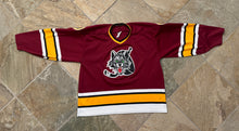 Load image into Gallery viewer, Vintage Chicago Wolves Prowear Hockey Jersey, Size XL