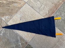 Load image into Gallery viewer, Vintage University of California Irvine Anteaters Felt College Pennant