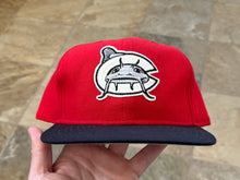 Load image into Gallery viewer, Vintage Carolina Mudcats MiLB New Era Snapback Baseball Hat