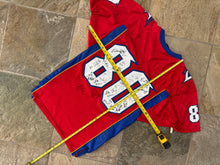 Load image into Gallery viewer, Vintage Los Angeles Avengers Game Worn Wilson Arena Football Jersey, Size 46