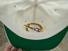 Load image into Gallery viewer, Vintage Iowa Hawkeyes The Game Circle Logo Snapback College Hat