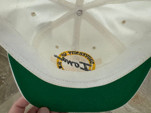 Vintage Iowa Hawkeyes The Game Circle Logo Snapback College Hat