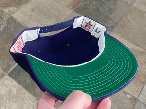 Vintage Furman Paladins Sports Specialties Script Snapback College Hat