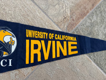 Load image into Gallery viewer, Vintage University of California Irvine Anteaters Felt College Pennant
