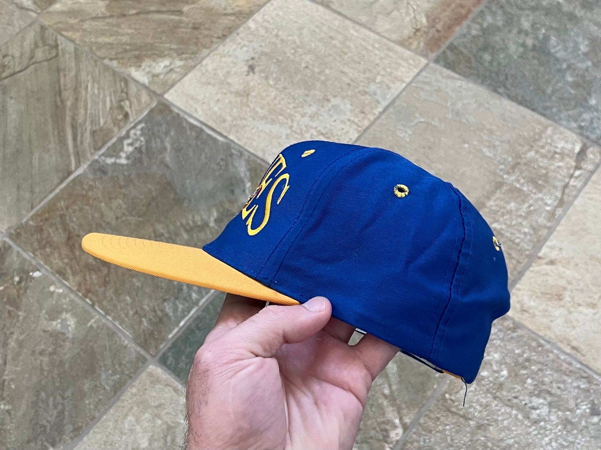 Vintage St. Louis Blues The Game Snapback Hockey Hat – Stuck In The 90s  Sports