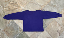 Load image into Gallery viewer, Vintage Phoenix Suns Taz Looney Tunes Basketball Sweatshirt, Size Large
