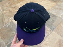 Load image into Gallery viewer, Tampa Bay Devil Rays American Needle Snapback Baseball Hat