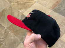Load image into Gallery viewer, Vintage San Francisco 49ers Sports Specialties Script Snapback Football Hat