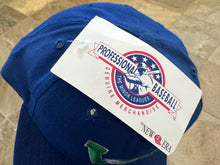 Load image into Gallery viewer, Vintage Waterloo Diamonds New Era MiLB Snapback Baseball Hat