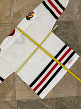 Load image into Gallery viewer, Vintage Chicago Blackhawks CCM Hockey Jersey, Size Large