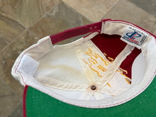 Load image into Gallery viewer, Vintage Florida State Seminoles Logo Athletic Splash Snapback College Hat