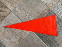 Load image into Gallery viewer, Vintage 1960s 1969 Houston Astros Baseball Pennant