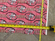 Load image into Gallery viewer, Vintage San Francisco SF 49ers NFL Football Fabric Sheet ###