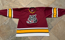 Load image into Gallery viewer, Vintage Chicago Wolves Prowear Hockey Jersey, Size XL