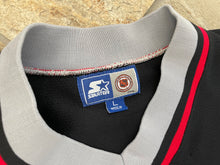 Load image into Gallery viewer, Vintage Buffalo Sabres Starter Hockey Jersey, Size Large