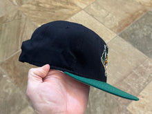 Load image into Gallery viewer, Vintage Lynchburg Hillcats MiLB New Era Snapback Baseball Hat