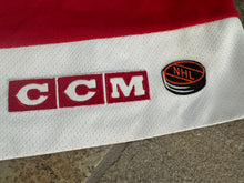 Load image into Gallery viewer, Vintage Detroit Red Wings Brendan Shanahan CCM Hockey Jersey, Size XL