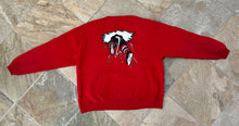 Load image into Gallery viewer, Vintage Albany River Rats Hockey Sweatshirt, Size XL