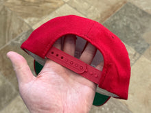 Load image into Gallery viewer, Vintage Ball State Cardinals Sports Specialties Script Snapback College Hat