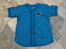 Load image into Gallery viewer, Vintage San Jose Sharks Starter Pinstripe Hockey Jersey, Size XL