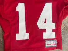 Load image into Gallery viewer, Vintage Wisconsin Badgers John Hall Team Issued Apex One College Football Jersey