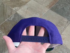 Vintage Furman Paladins Sports Specialties Script Snapback College Hat