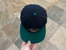 Load image into Gallery viewer, Vintage Lynchburg Hillcats MiLB New Era Snapback Baseball Hat