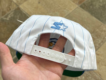 Load image into Gallery viewer, Vintage North Carolina Tarheels Starter Pinstripe Snapback College Hat