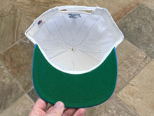 Load image into Gallery viewer, Vintage North Carolina Tarheels Starter Pinstripe Snapback College Hat