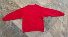 Load image into Gallery viewer, Vintage San Francisco 49ers Western Division Champions Football Sweatshirt, Size Large